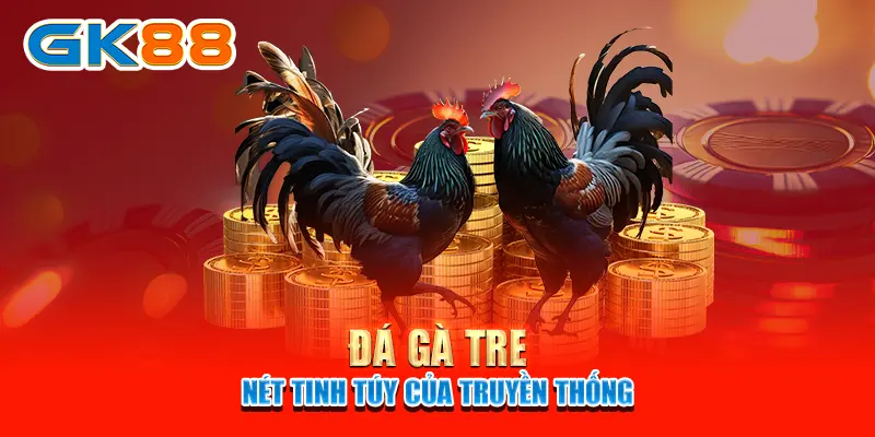 Đá Gà GK88 - Thánh Địa Ngầm Của Các Kê Thủ Cứ Chơi Là Mê Tít 4 Đá gà Tre - Nét tinh túy của truyền thống