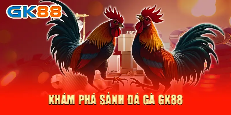 Đá Gà GK88 - Thánh Địa Ngầm Của Các Kê Thủ Cứ Chơi Là Mê Tít 2 Khám phá sảnh đá gà GK88