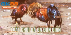tìm hiểu luật chơi đá gà