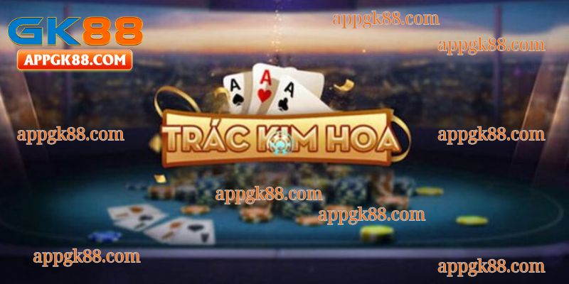 “Khám phá Trắc Kim Hoa – nơi mọi ván bài đều mang theo nhịp đập hồi hộp