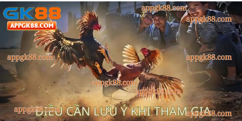 Điều quan trọng nào cần nắm sau khi tham gia đặt cược