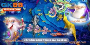Các sảnh game hấp dẫn theo cấp độ khác nhau của bắn cá xèng