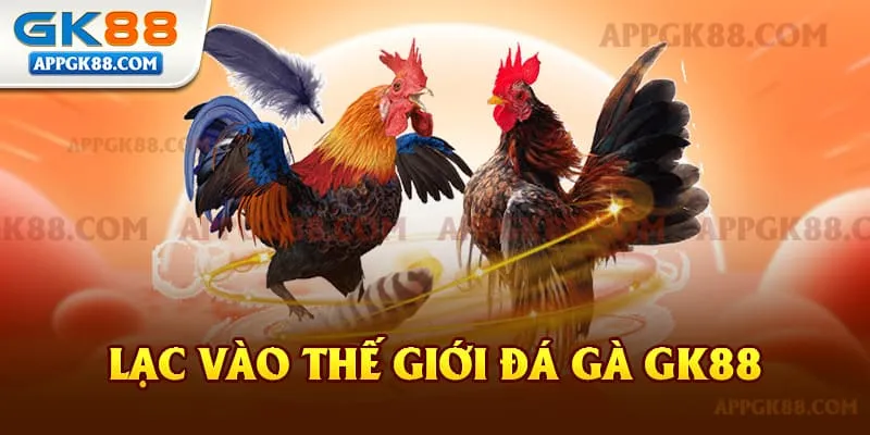 Lạc Vào Thế Giới Đá Gà GK88