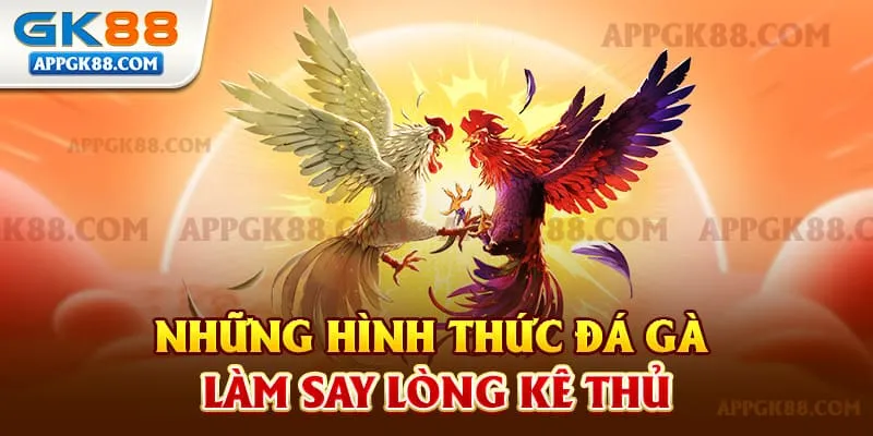 Những Hình Thức Đá Gà Làm Say Lòng Kê Thủ